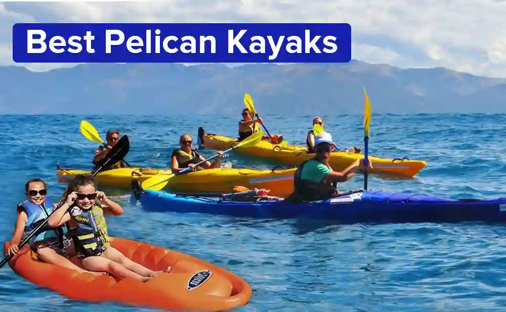 6 Best Pelican Kayaks For Fishing And Paddling doloremque