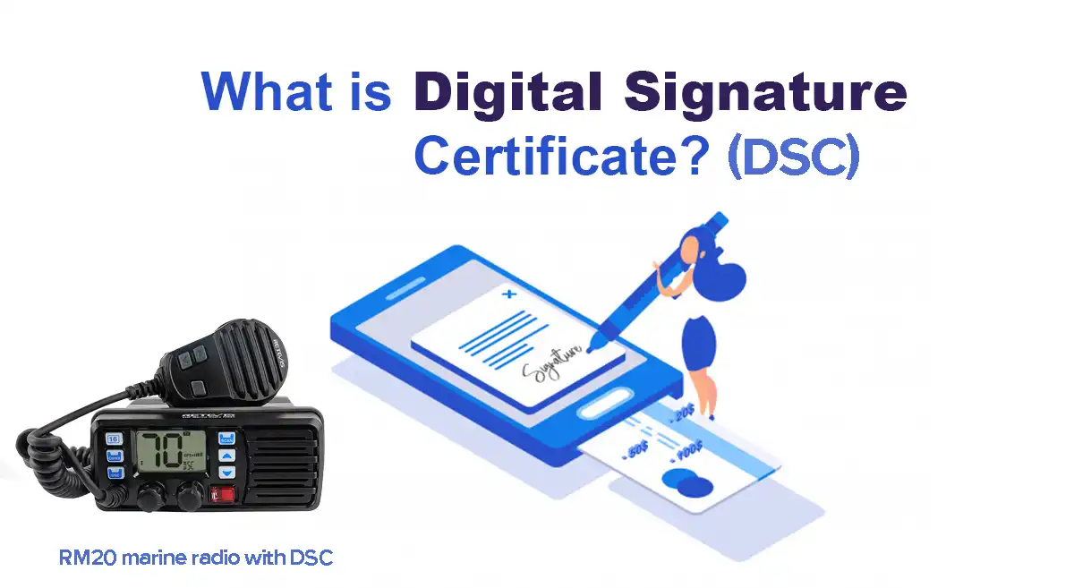 What is DSC? doloremque