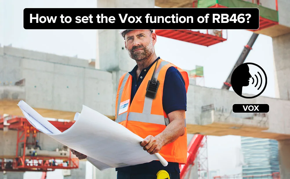 How to set the vox function of RB46? doloremque
