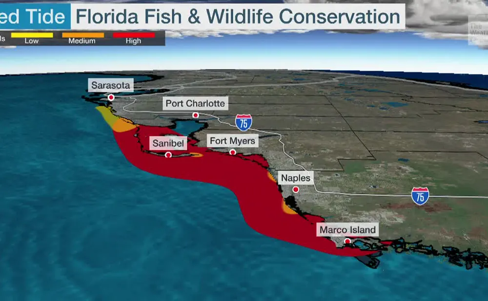 Local weather in naples florida doloremque