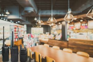 Best Business Walkie Talkie Recommendations doloremque