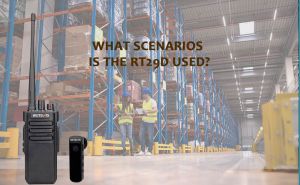 RT29D In Different Scenarios doloremque