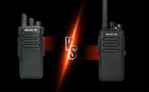The difference between RT29 VS RT81 doloremque