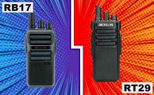Main differences between RB17 VS RT29 doloremque