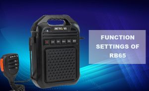 Function Settings of Retevis RB65 doloremque