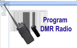 How to program DMR radios? doloremque