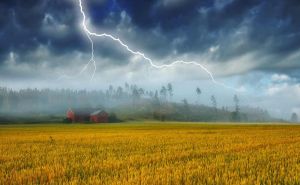 The importance of NOAA to agricultural production doloremque