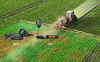 6 Reasons Farmers Are Switching to Retevis Mobile Two-Way Radios