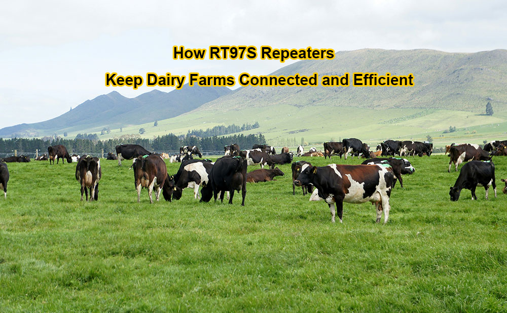 How RT97S Repeaters Keep Dairy Farms Connected and Efficient