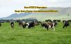How RT97S Repeaters Keep Dairy Farms Connected and Efficient