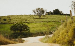 Why Your GMRS Repeater Fails in Rural Areas？ doloremque