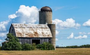 Why Cheap Radio Repeaters Fail Faster？ doloremque