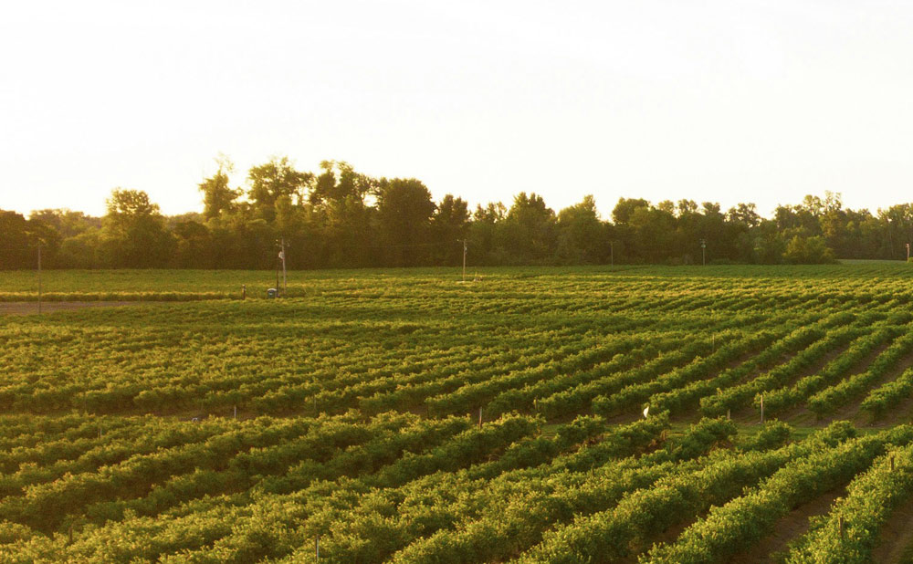 Why a 25Watt Repeater is Perfect for Farms with Large Acreage