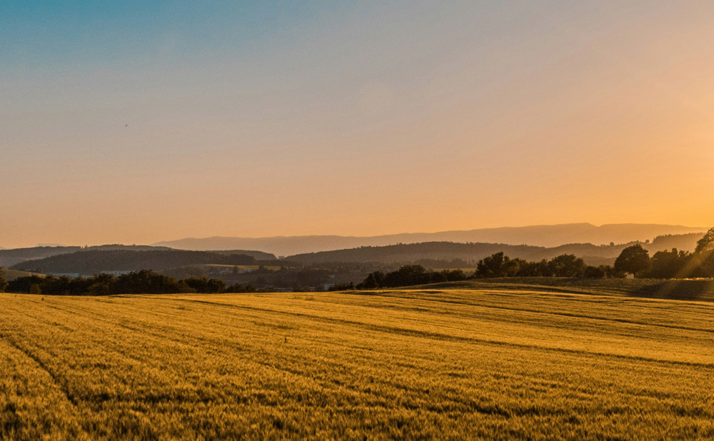 Boost Your Farm’s Communication with a 25Watt Repeater