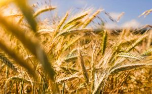 The Advantages of a 25Watt Repeater for Large Farms and Agricultural Operations doloremque