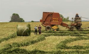 Installing a 25Watt Repeater: The Key to Seamless Communication on Your Farm doloremque