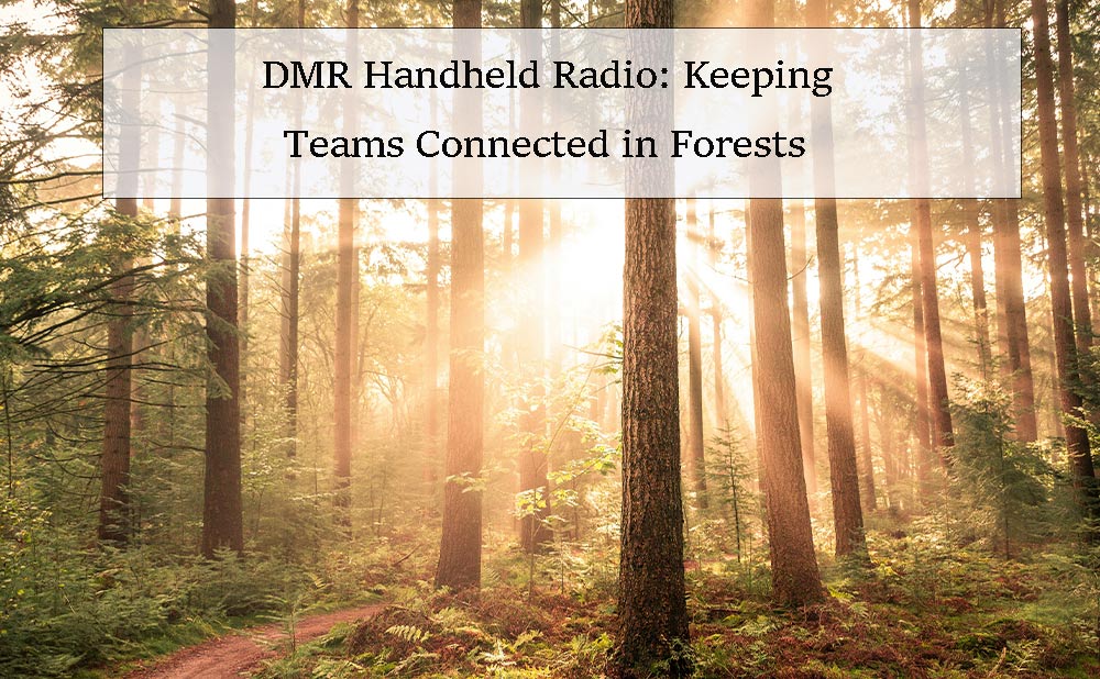 DMR Handheld Radio: Keeping Teams Connected in Forests
