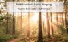 DMR Handheld Radio: Keeping Teams Connected in Forests