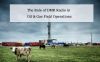 The Role of DMR Radio in Oil & Gas Field Operations