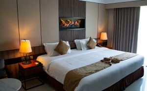 HD2, P1, NR30D: Which DMR Dual Band Radio is Best for Hotel Management? doloremque