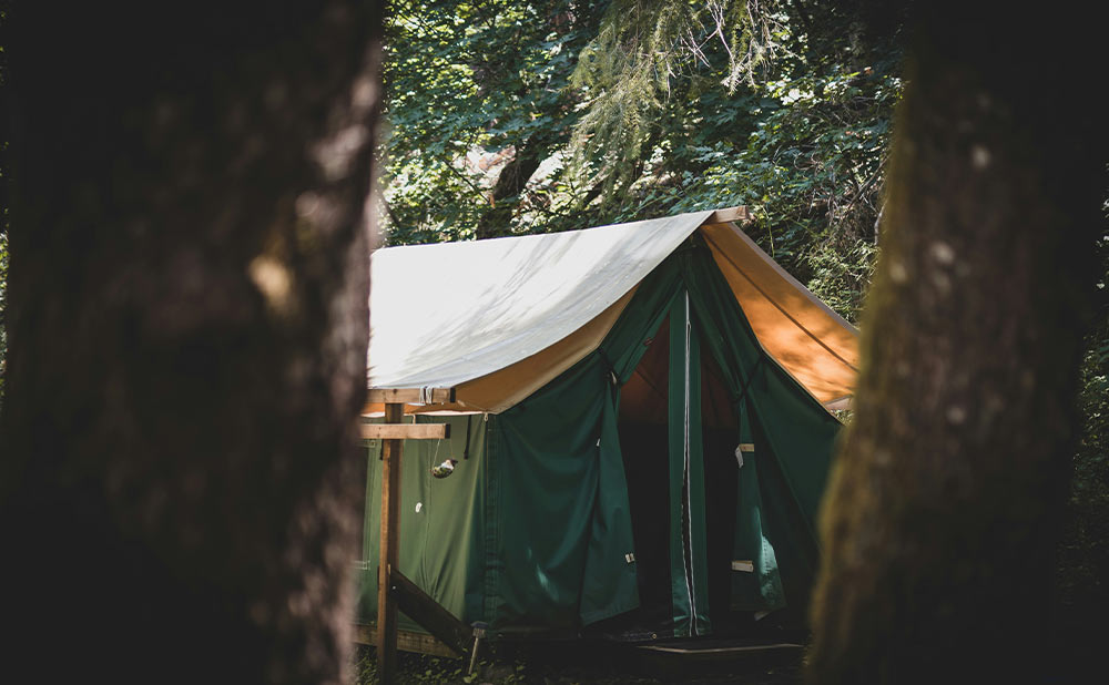 HD2 DMR HT Radio in the Wilderness: Survival Comms Setup Guide