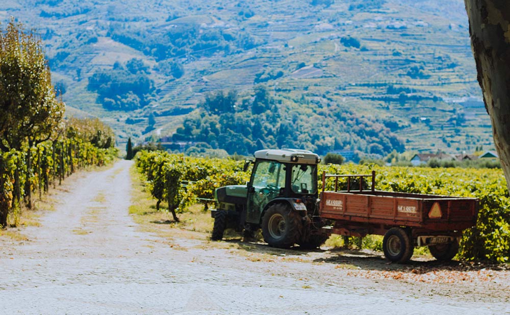 Weatherproof DMR 2 Way Radio for Vineyard and Orchard Workers