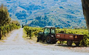 Weatherproof DMR 2 Way Radio for Vineyard and Orchard Workers doloremque
