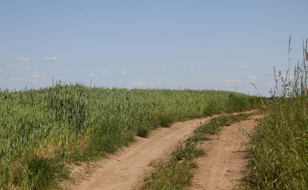 DMR 2 Way Radio for Farmers: Reliable Communication in Rural Areas