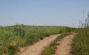 DMR 2 Way Radio for Farmers: Reliable Communication in Rural Areas doloremque