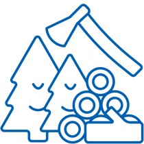 Forest Logging image