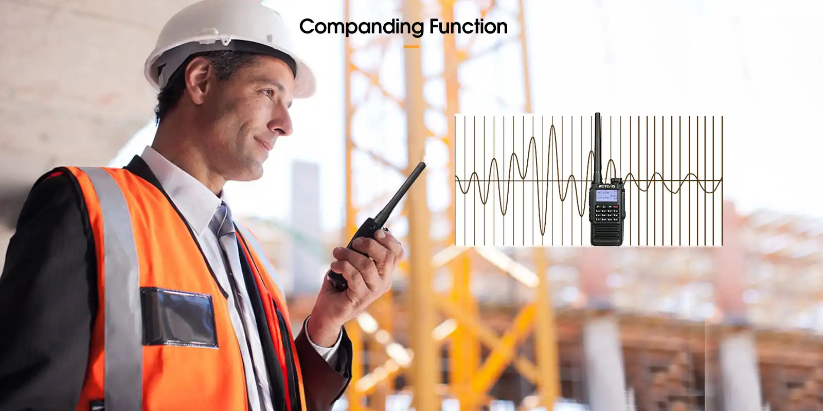 RT87 Companding Function