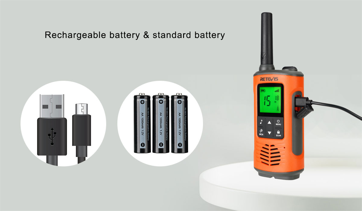 Rechargeable battery and standard battery