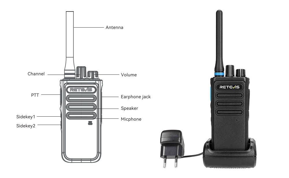 appearance details of P1