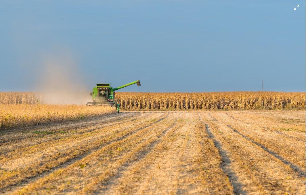 harvest
