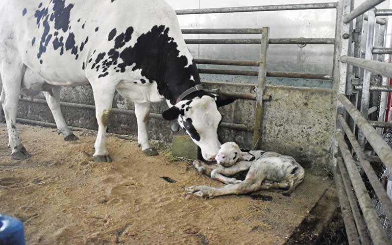 use retevis gmrs radios on our farm
