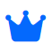 VIP Access Icon