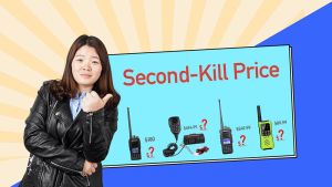 LiveStream with Second Kill Promotion Price on Retevis Facebook doloremque